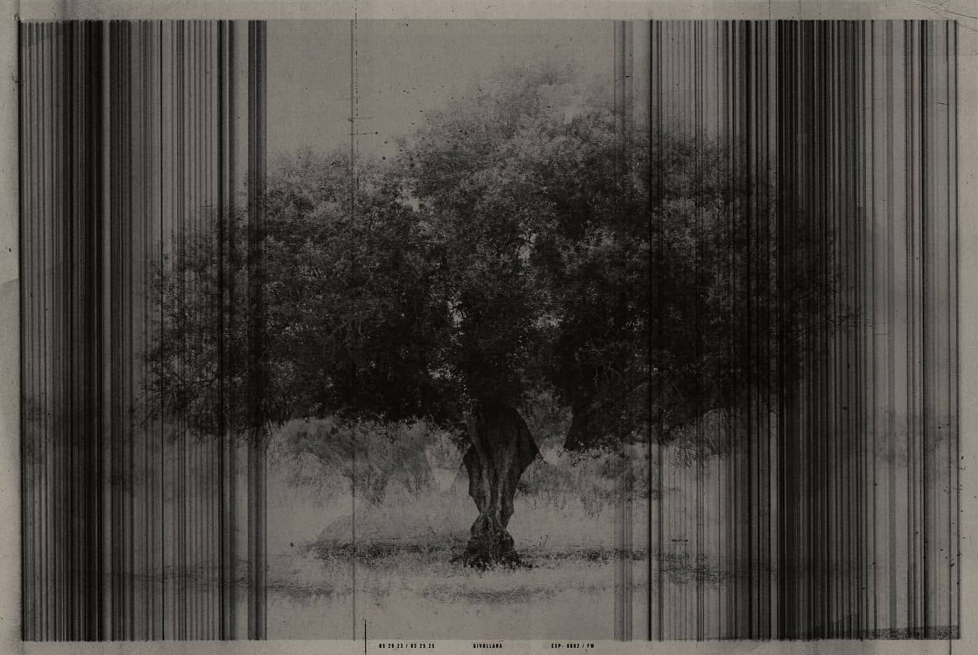 GIVOLLARA — Gary Edward Blum